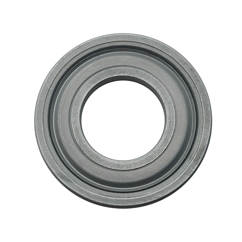 भूलभुलैया सील